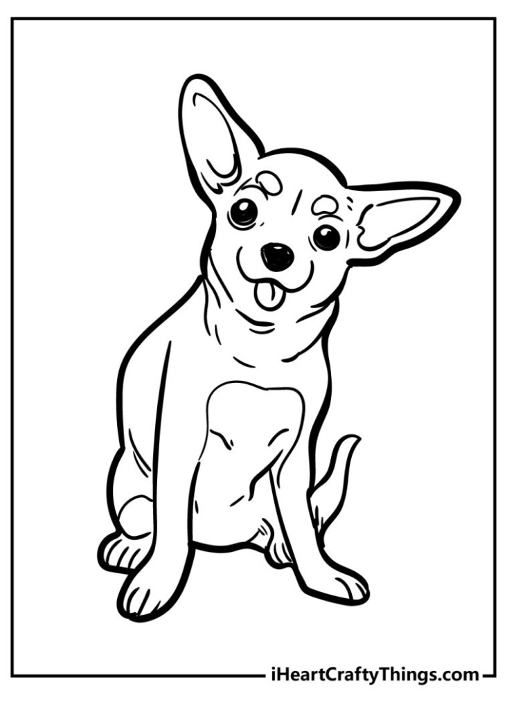 15 Chihuahua Coloring Pages 100 Free Printables 