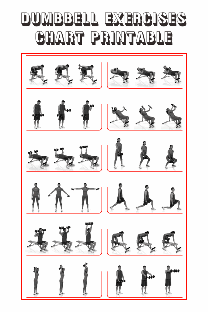 15 Dumbbell Exercises Chart Printable Workout Poster PDF American 