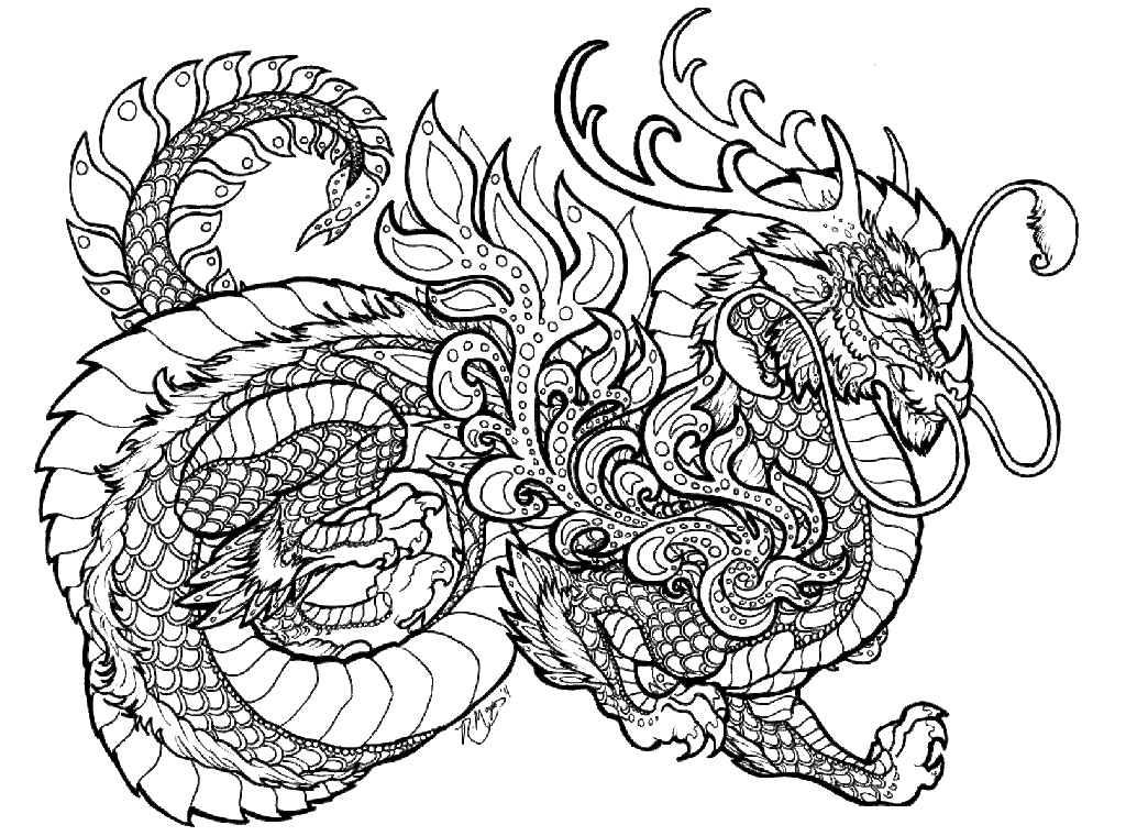 20 Free Printable Dragon Coloring Pages For Adults EverFreeColoring