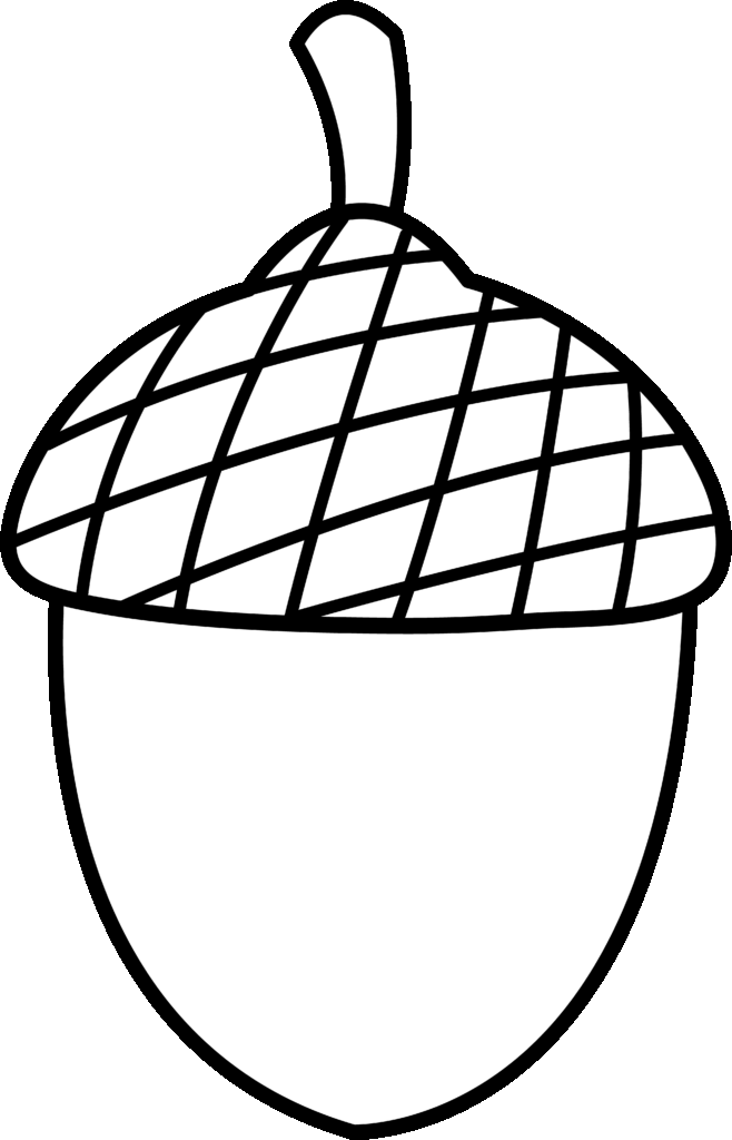 Acorn Coloring Page At GetColorings Free Printable Colorings 