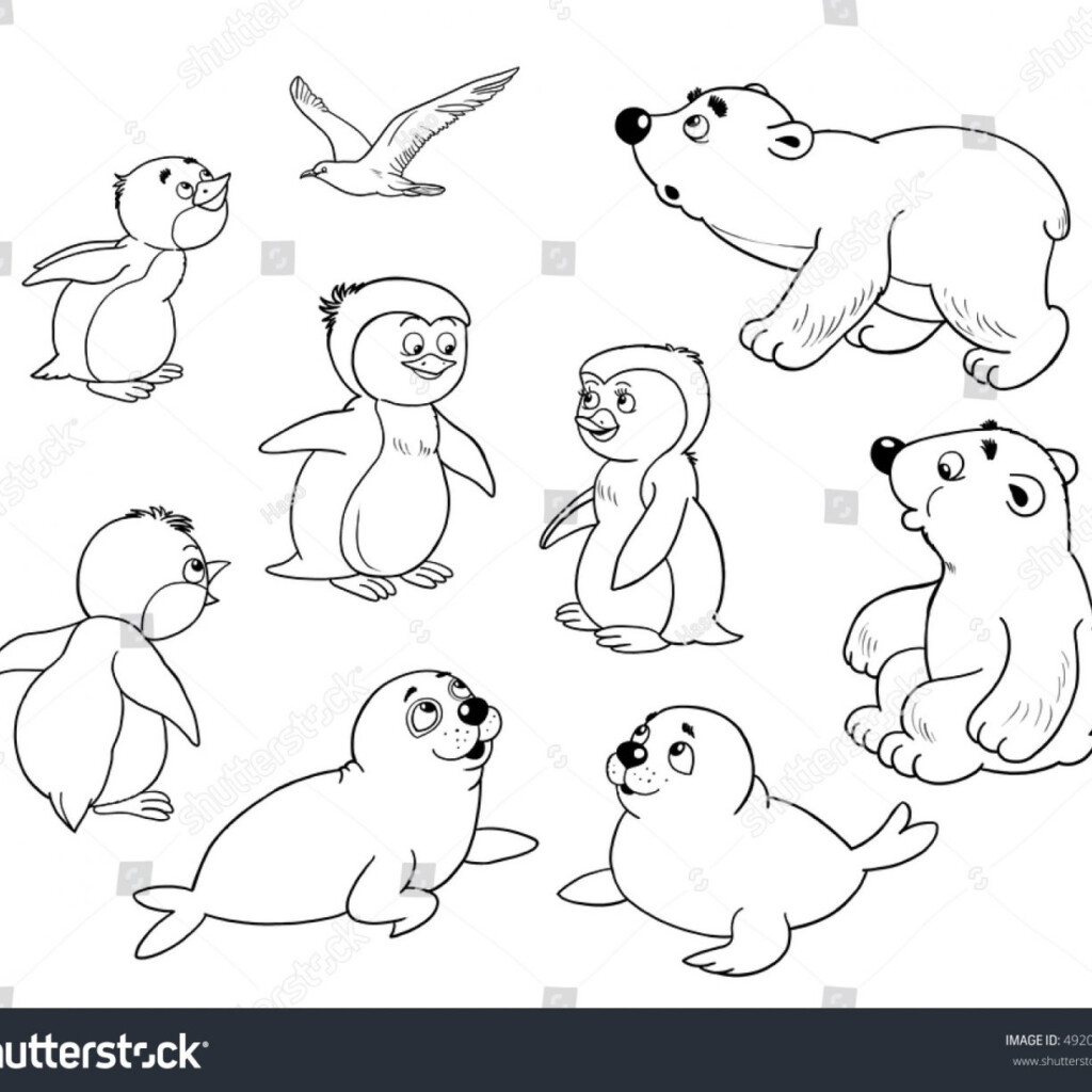 Arctic Animals Printable Coloring Pages Printable Free Templates