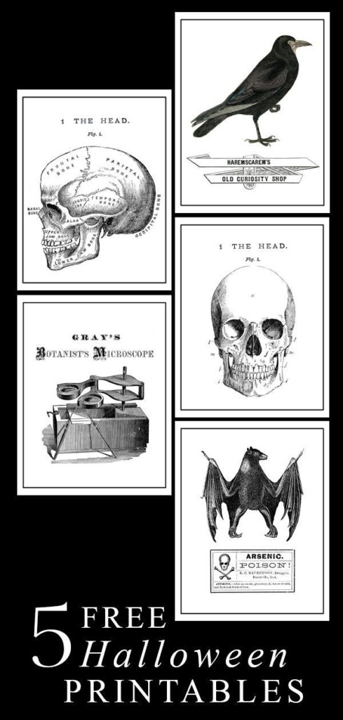 Black And White Free Vintage Halloween Printables
