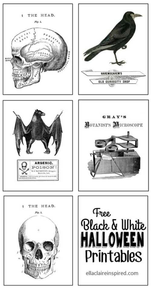 Black And White Free Vintage Halloween Printables Printable Templates