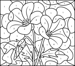 Color By Number Flower Coloring Pages At GetColorings Free 