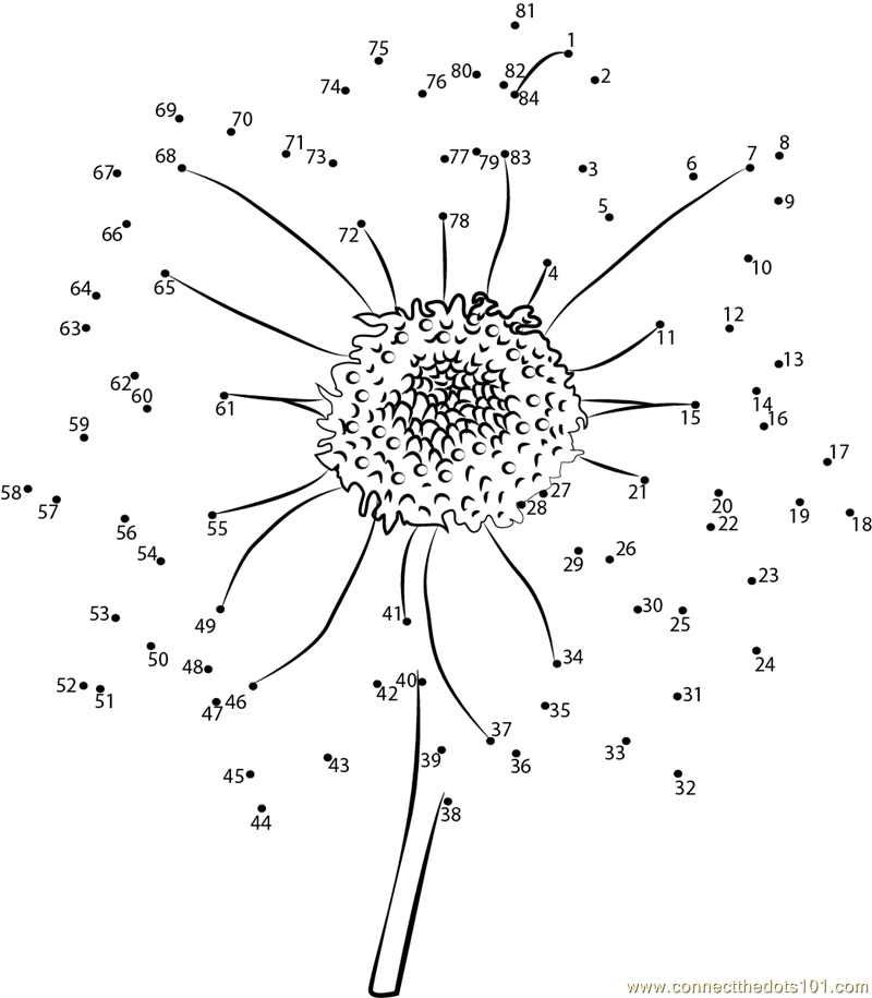 Connect The Dots For Adults Dot To Dot Flowers Dot To Dot Name 