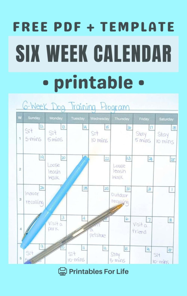 Free 6 Week Calendar Printable