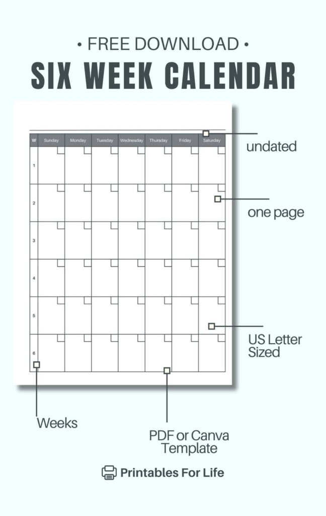 Free 6 Week Calendar Printable