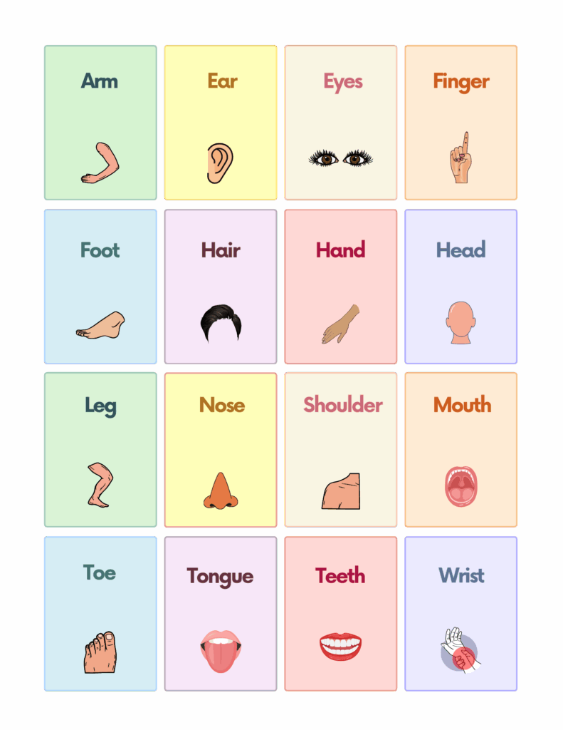 Free Autism And Speech Therapy Printable Flashcards AutisticHub