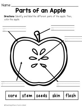 Free Johnny Appleseed Worksheets