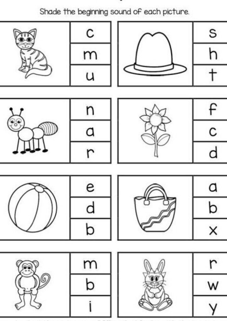 Free Printable Education Worksheets