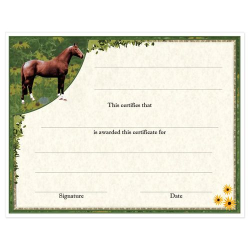 Free Printable Horse Riding Certificates