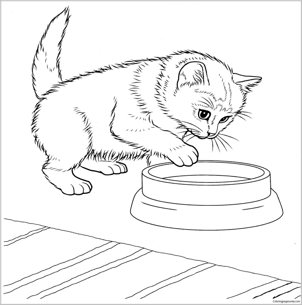 Free Printable Kitten Coloring Pages For Kids
