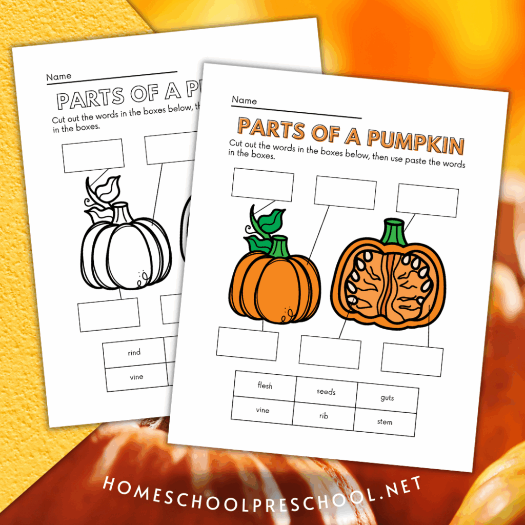 Free Printable Parts Of A Pumpkin Worksheet Worksheets Library
