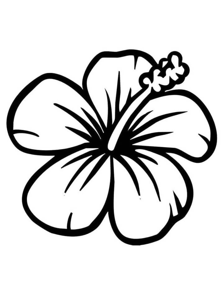 Hibiscus Flower 3 Coloring Page Free Printable Coloring Pages For Kids