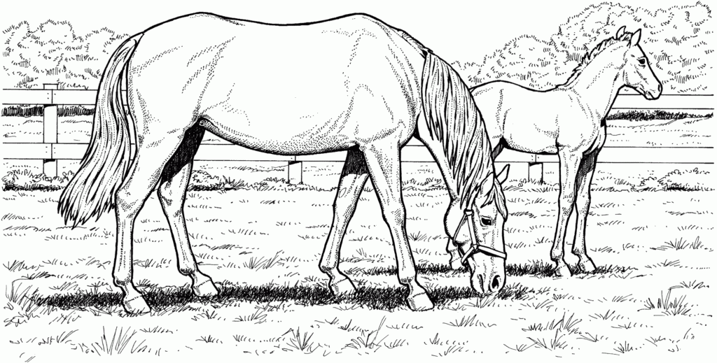 Horse Coloring Pages For Kindergarten Learning Printable