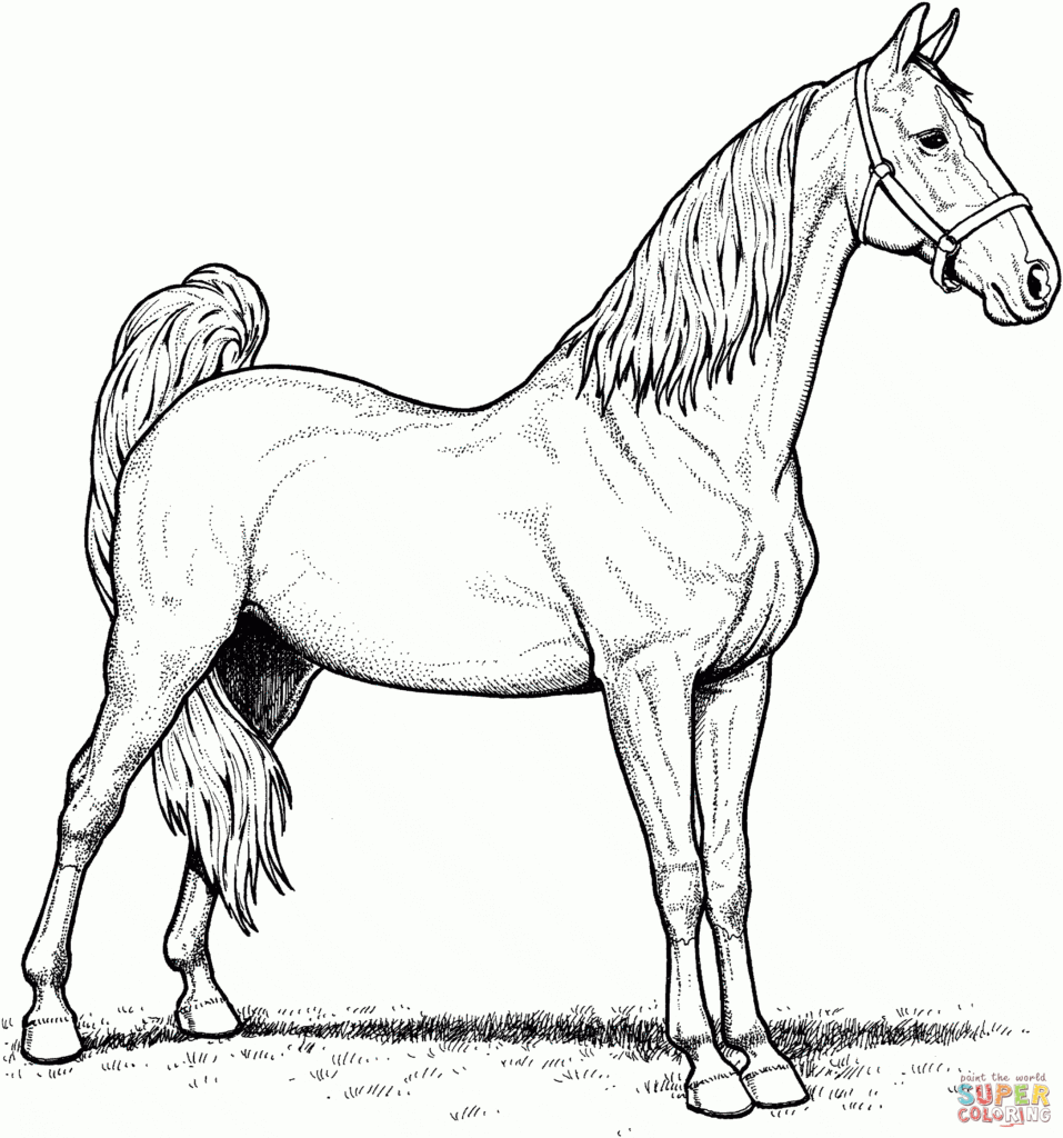 Horse Tack Coloring Pages Coloring Pages