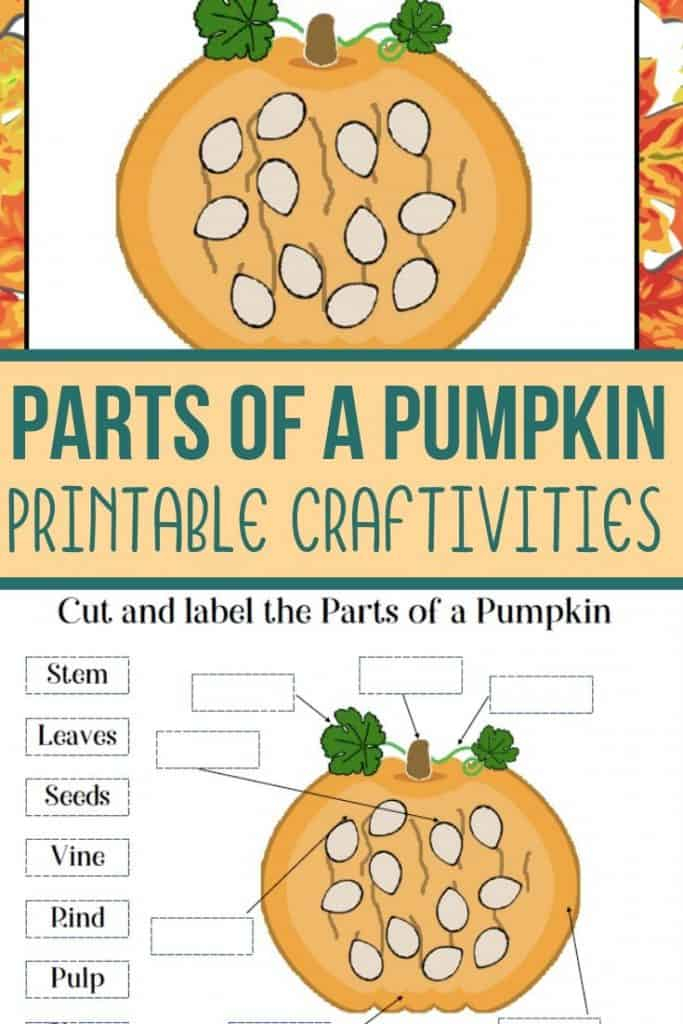 Parts Of A Pumpkin Free Printable Free Templates Printable