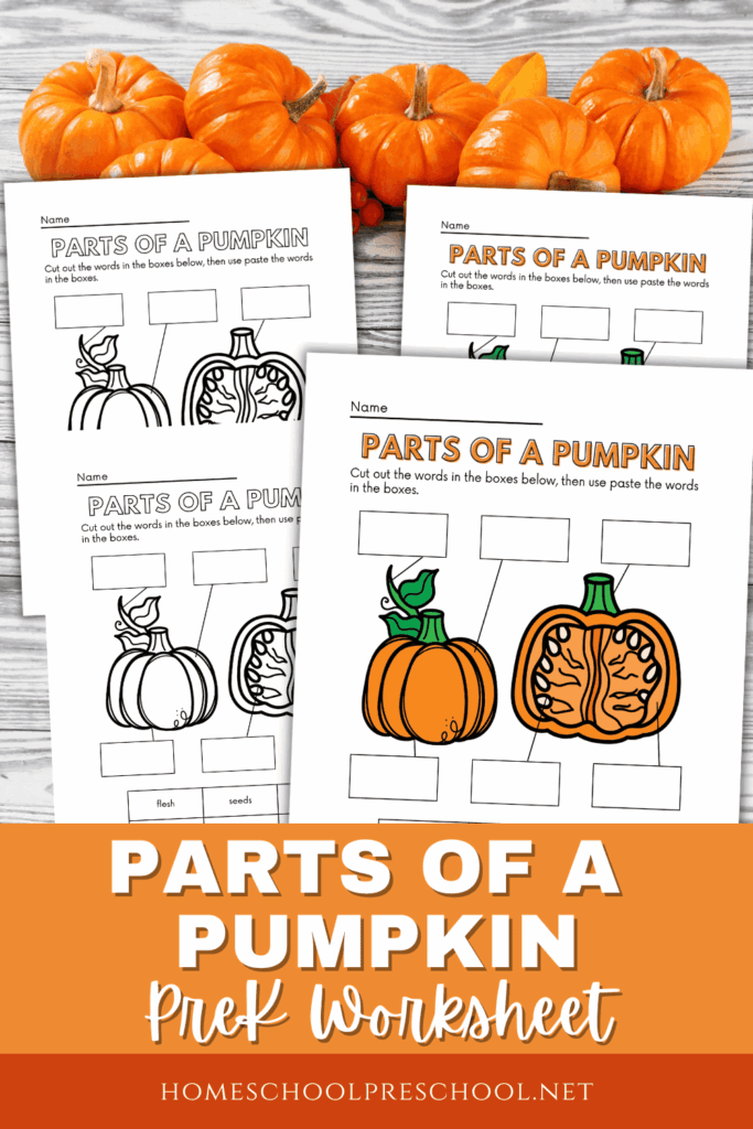 Parts Of A Pumpkin Worksheet Pdf Free Worksheets Printable