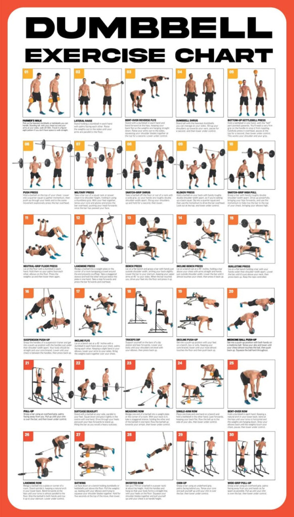 Pdf Printable Free Dumbbell Workout Chart