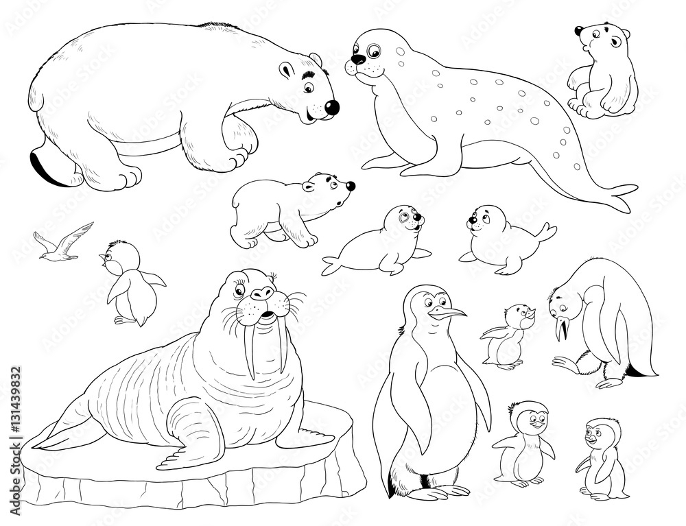 Printable Arctic Animals Coloring Pages