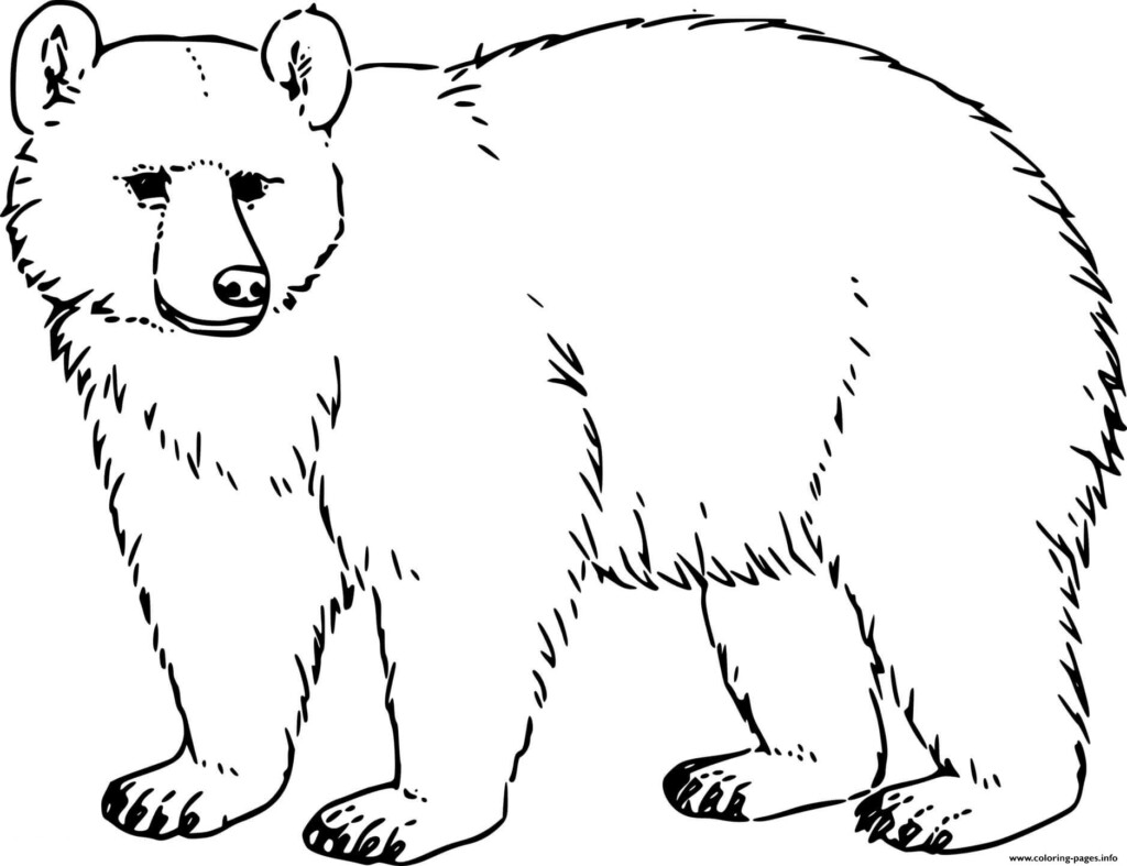 Printable Bear