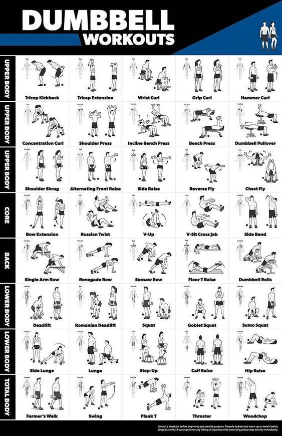 Printable Pdf Printable Dumbbell Workout Chart Free Printable Charts