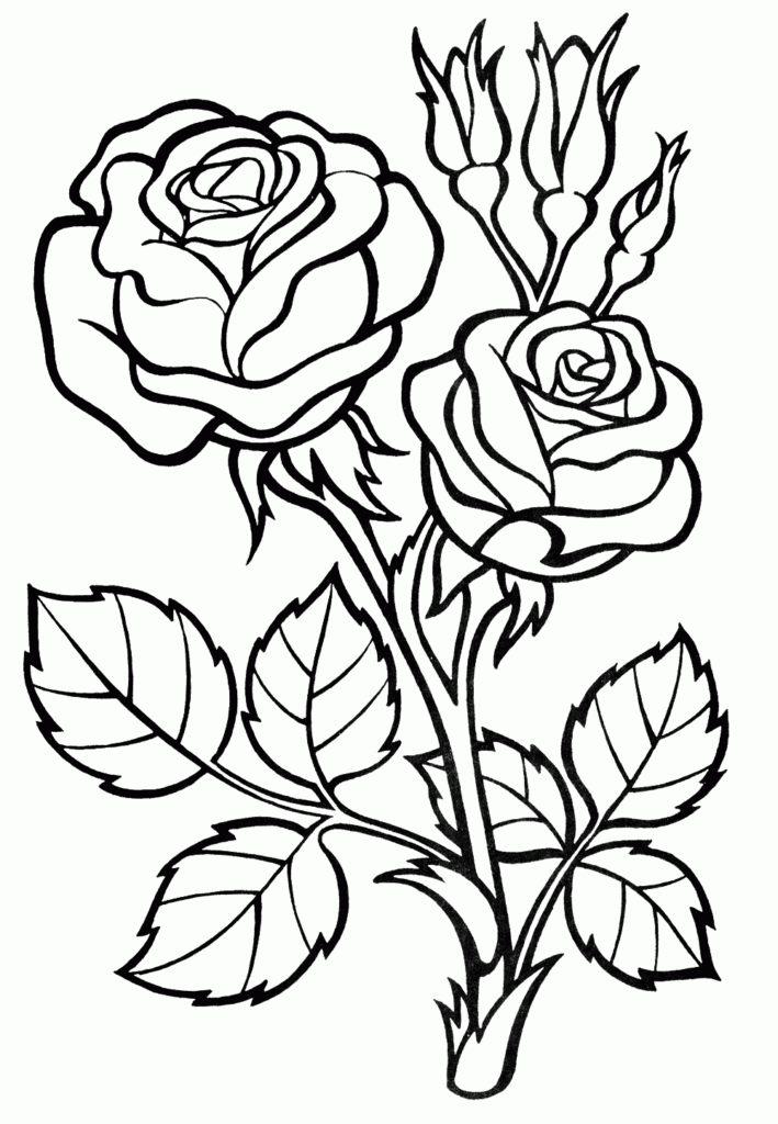 Rose Coloring Book Page Free Printable Templates